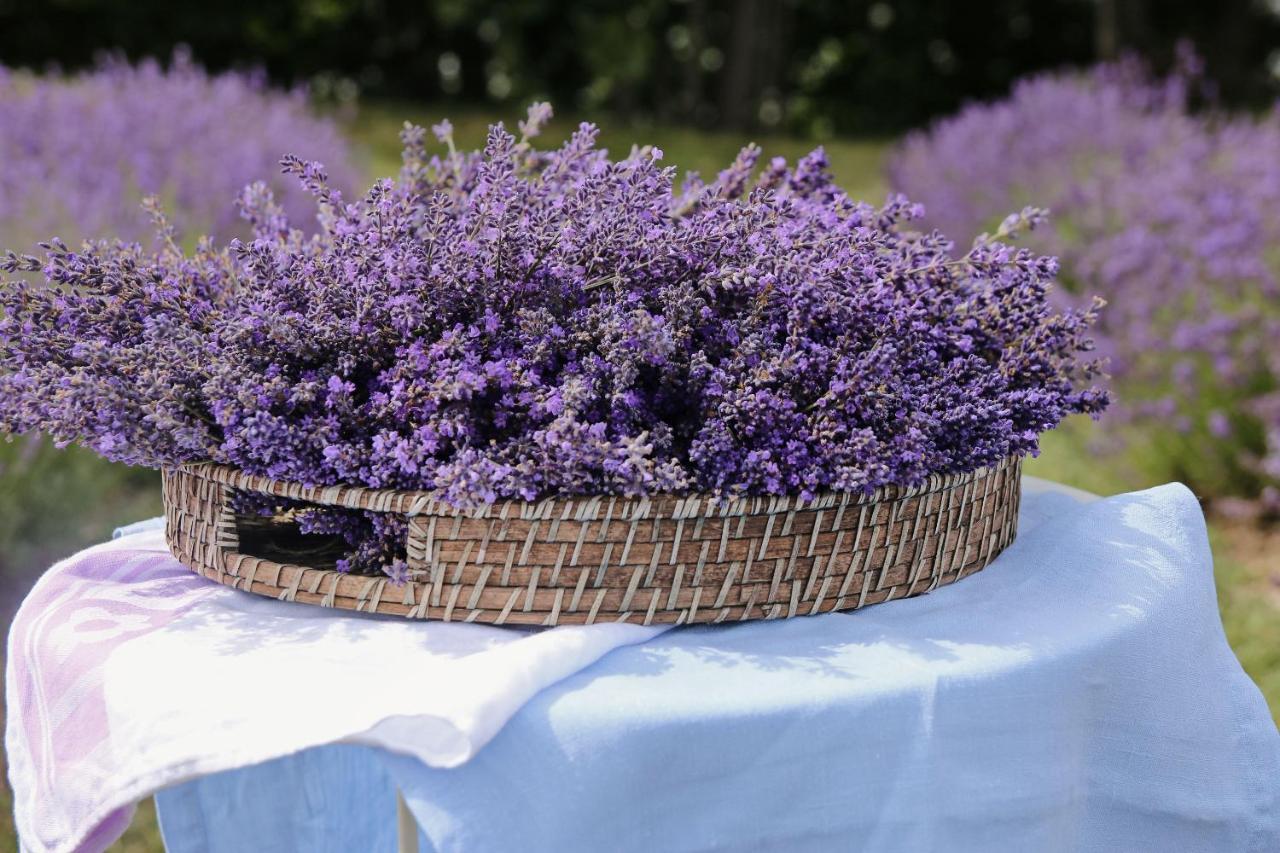 Lavender Village Kiemeliai Exterior foto