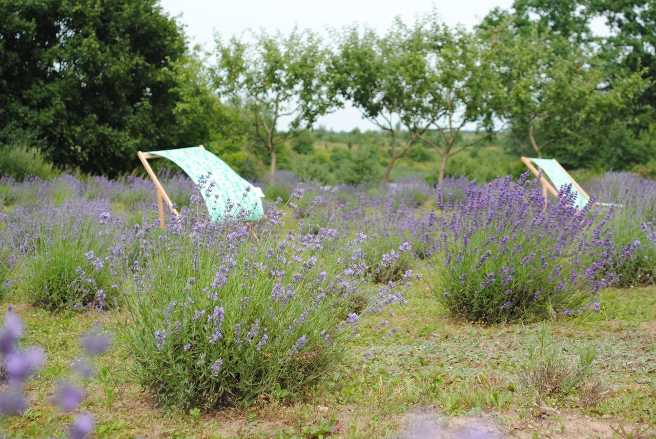 Lavender Village Kiemeliai Exterior foto