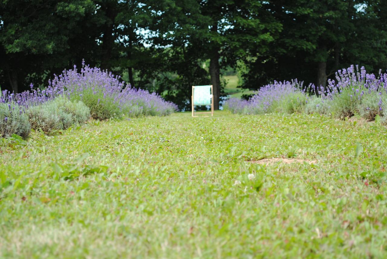 Lavender Village Kiemeliai Exterior foto