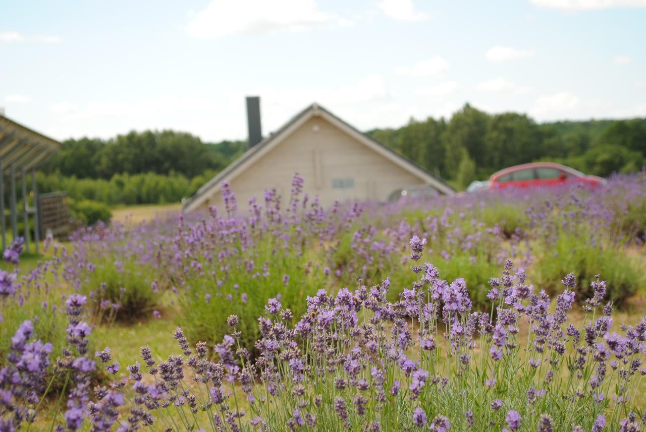 Lavender Village Kiemeliai Exterior foto